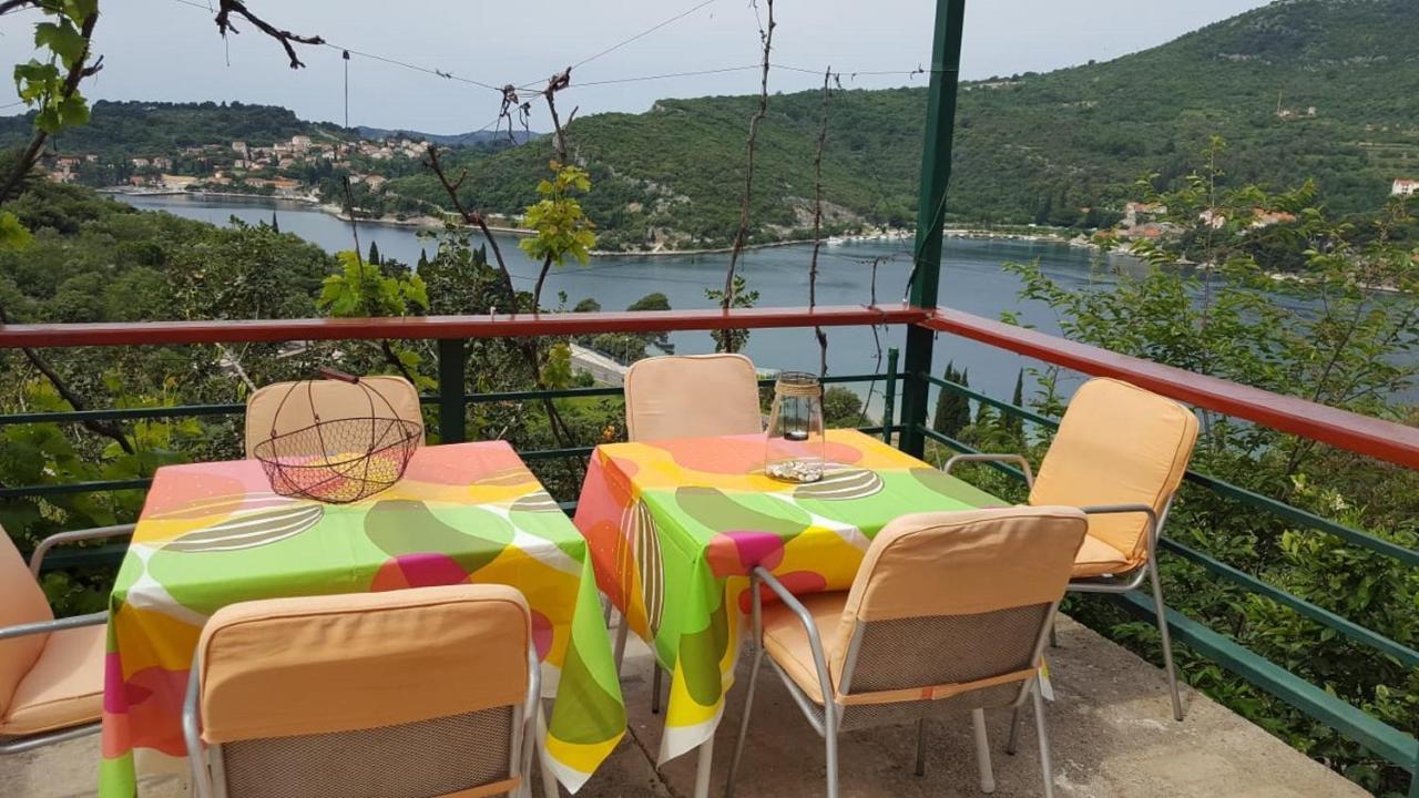 Bodul Vacation Apartment Zaton Kültér fotó