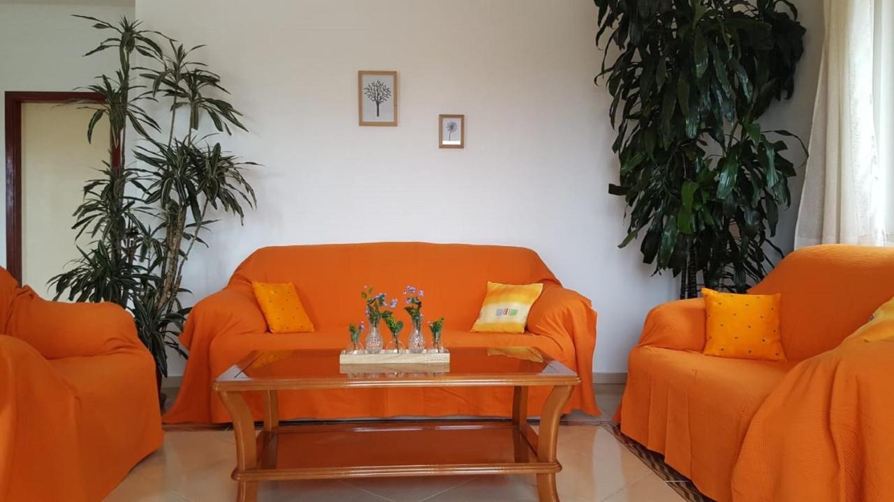 Bodul Vacation Apartment Zaton Kültér fotó